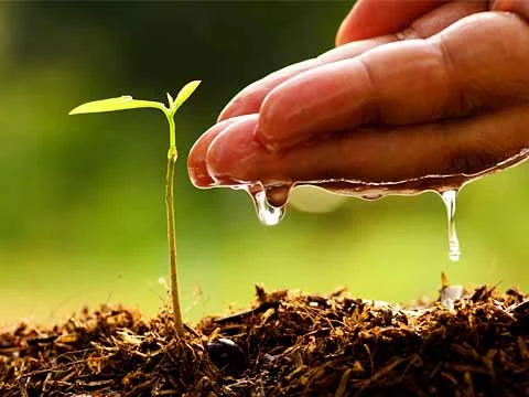 Збереження води у сучасному сільському господарстві