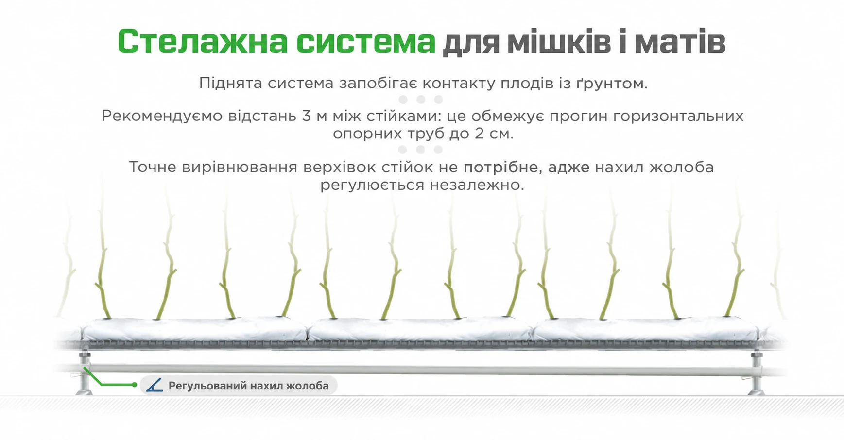Схема опор і дренажного жолоба для томатів