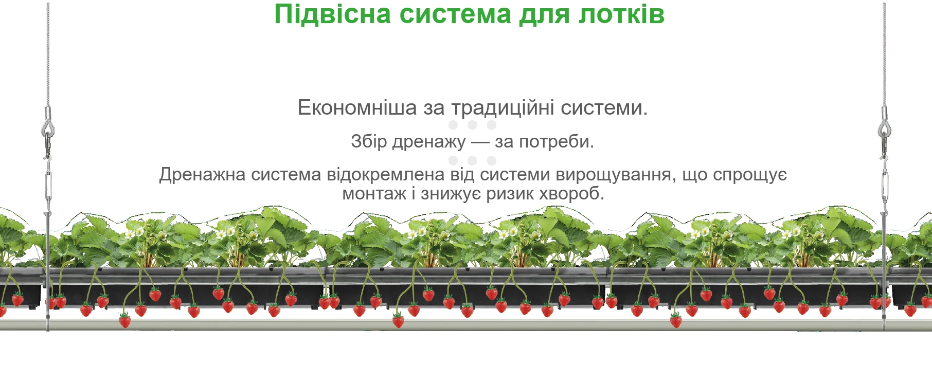 Схема підвісної системи Hi-Grow