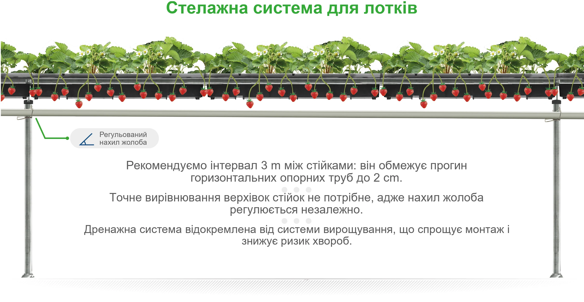 Система Hi-Grow