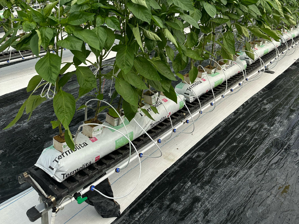 Виробничий проєкт PlantLogic · 6
