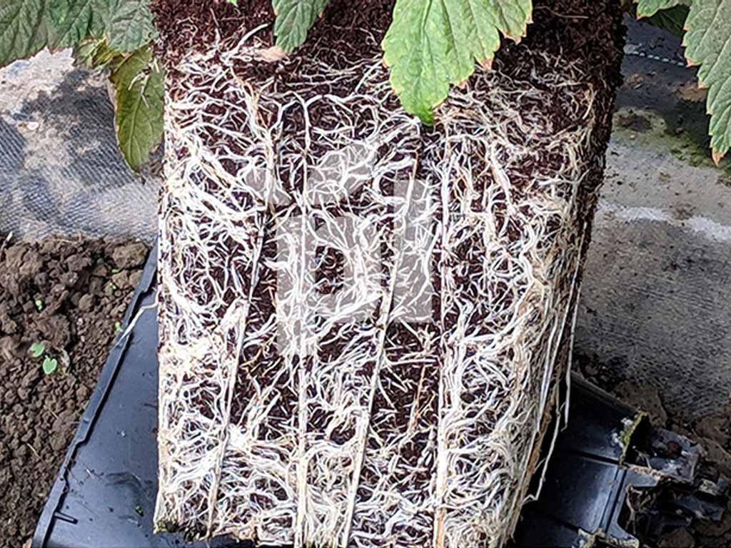 Виробничий проєкт PlantLogic · 4