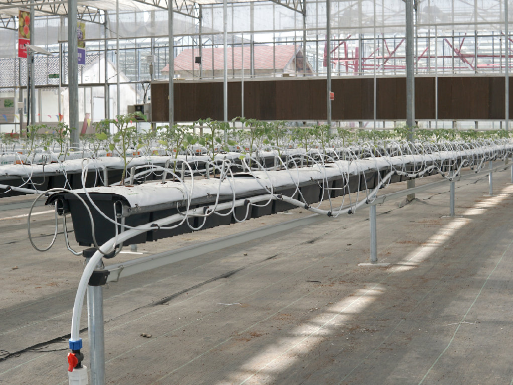 Виробничий проєкт PlantLogic · 2