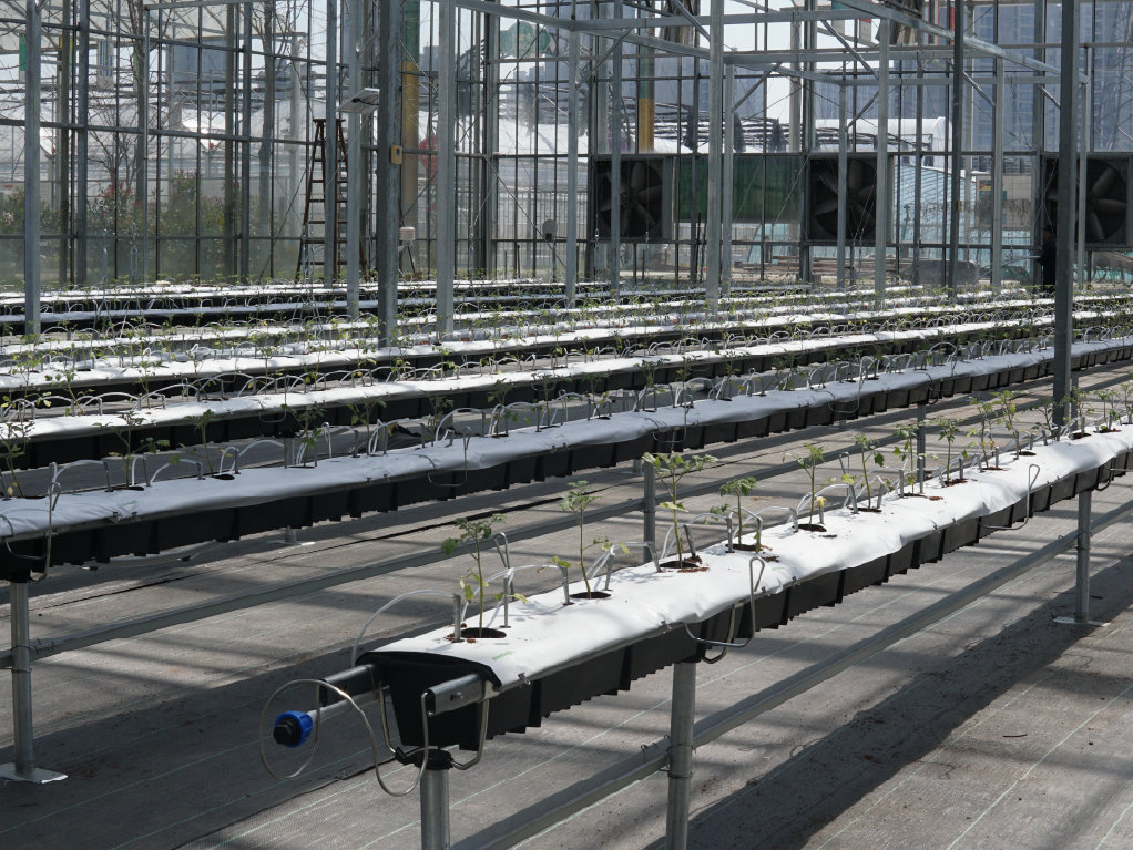Виробничий проєкт PlantLogic · 4