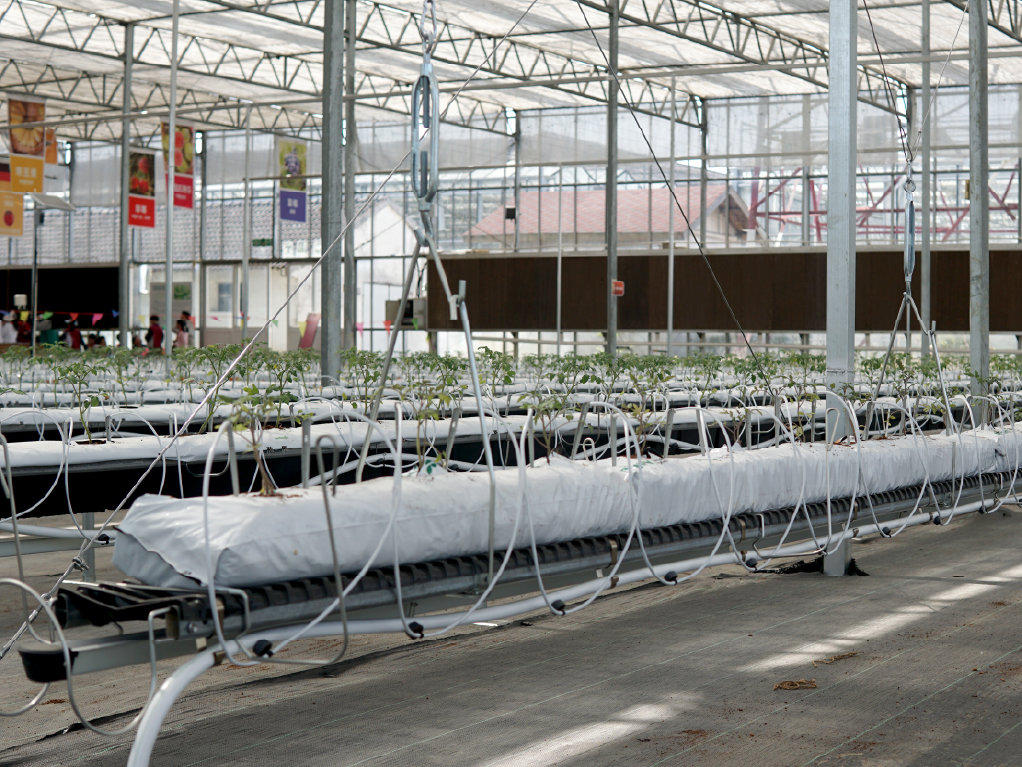 Виробничий проєкт PlantLogic · 3
