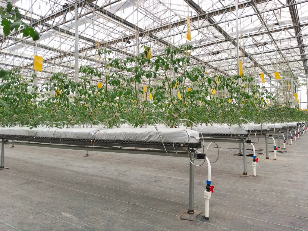 Виробничий проєкт PlantLogic · 7
