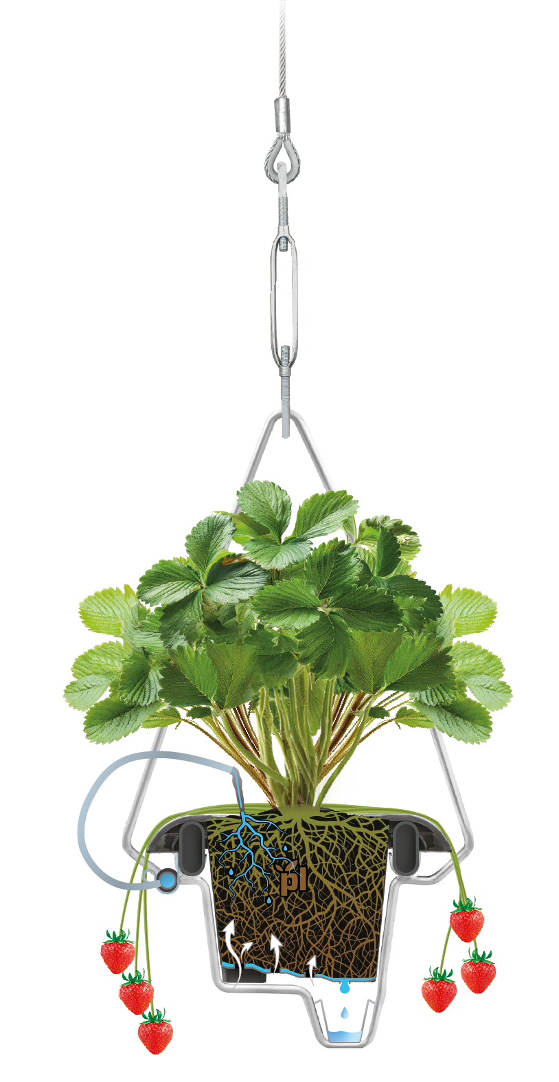Підвісна конфігурація PlantLogic Hi-Grow