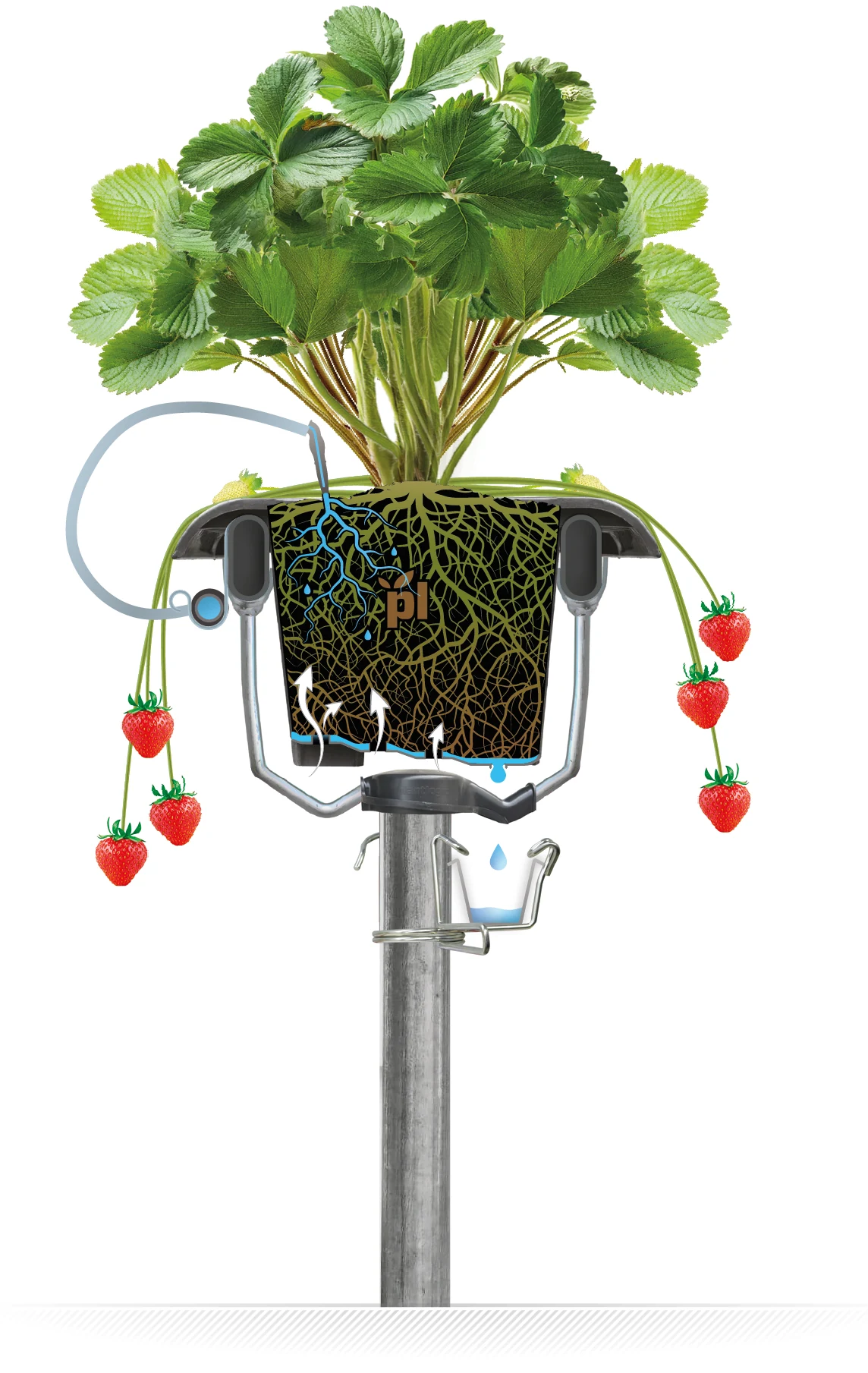 Контейнерна конфігурація Hi-Grow