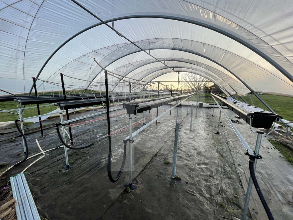 Виробничий проєкт Hi-Grow — приклад 3