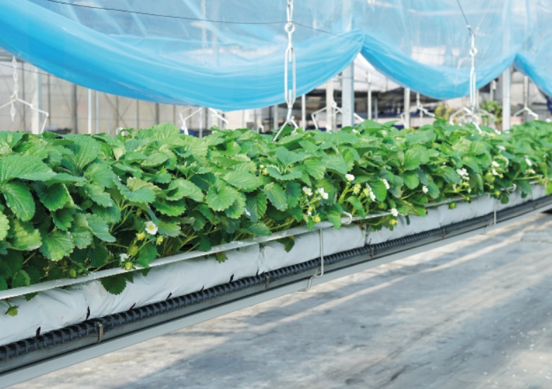 Виробничий проєкт Hi-Grow — приклад 8