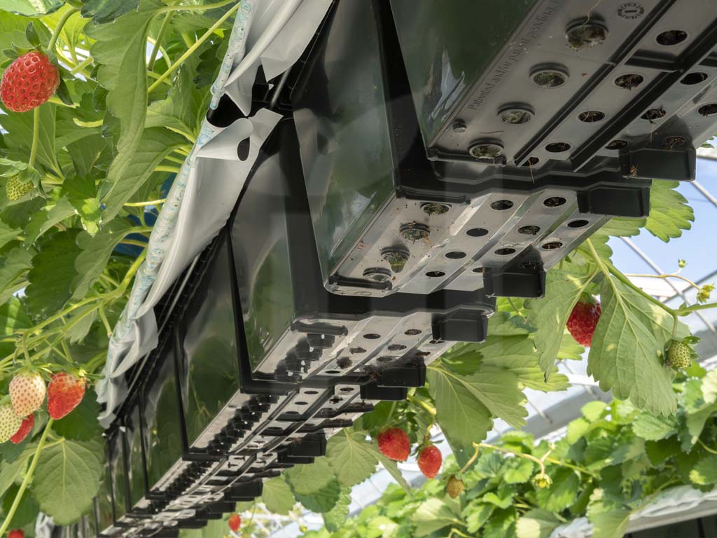 Виробничий проєкт Hi-Grow — приклад 9