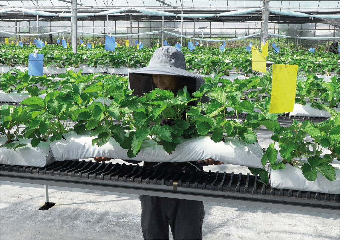 Виробничий проєкт Hi-Grow — приклад 5