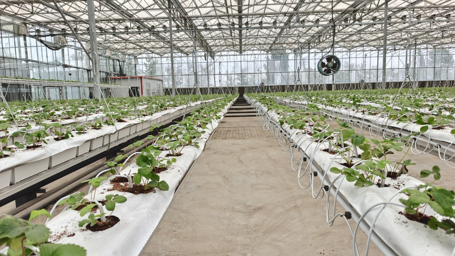 Виробничий проєкт Hi-Grow — приклад 12